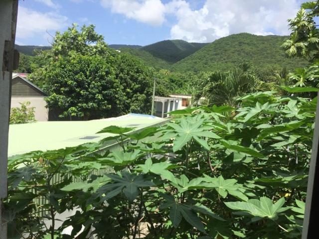 Habitation Baliache - Maison Creole Avec Jardin Privatif, Plage A 200M Deshaies Luaran gambar